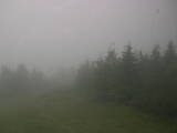 12 : 44