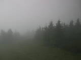 13 : 48