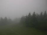 08 : 44