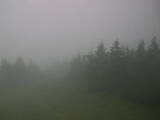 09 : 04