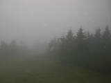 13 : 00
