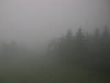 13 : 04