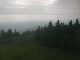 16 : 28