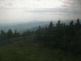 17 : 28