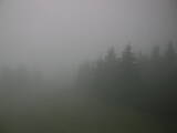 06 : 04