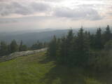 18 : 20