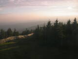 20 : 28