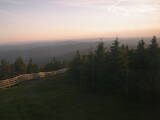 20 : 40