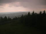 20 : 20