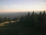20 : 36
