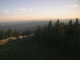 20 : 40