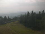 16 : 36
