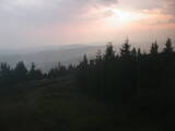 20 : 20