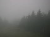 19 : 24