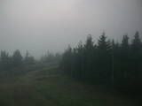 20 : 40