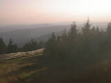 19 : 24