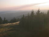 19 : 52