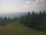 15 : 44