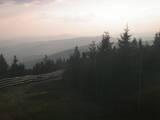 19 : 24