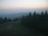 20 : 40