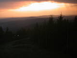 20 : 40