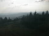 17 : 56