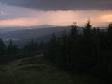20 : 04