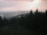 20 : 16