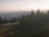 19 : 28
