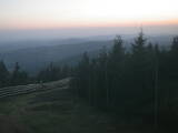 20 : 40