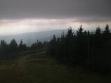 16 : 52