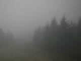 17 : 28