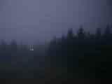 19 : 10