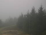 16 : 20