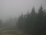 16 : 40