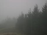 18 : 14