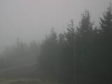 18 : 28
