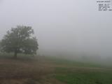 08 : 04