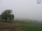 08 : 52