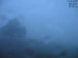 20 : 44