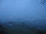 20 : 40