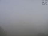 08 : 44