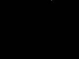 02 : 20