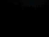 19 : 36