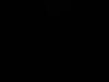 07 : 04