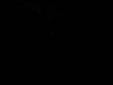 05 : 00