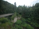 17 : 16