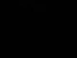 05 : 36
