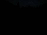 20 : 20