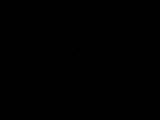Záznam